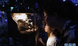 10月神奇动物爆料视频,神秘生物齐聚，奇幻世界再掀热潮