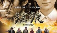 在线观看擒狼,揭秘古代特工传奇