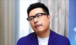 娱乐大爆料王岳伦,揭秘明星背后的故事